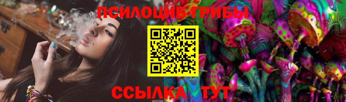 Галлюциногенные грибы Magic Shrooms Ставрополь